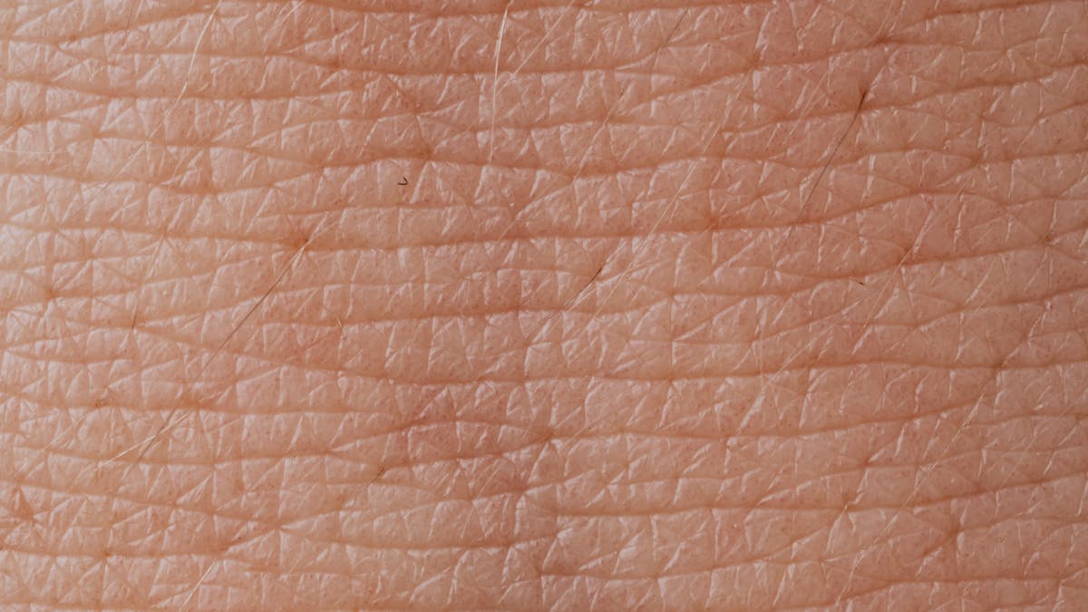 Extreme close-up of human skin texture showing pores and surface detail
