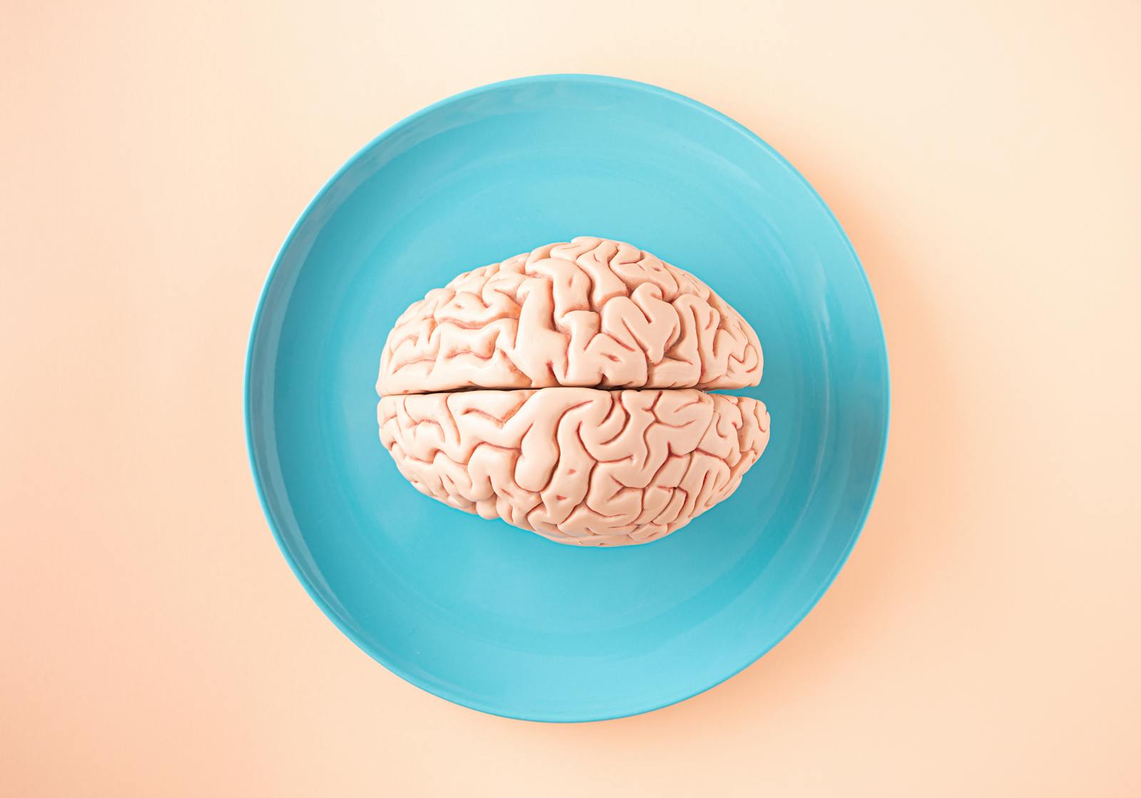 Anatomical model of a human brain viewed from above on a plate against a pastel background