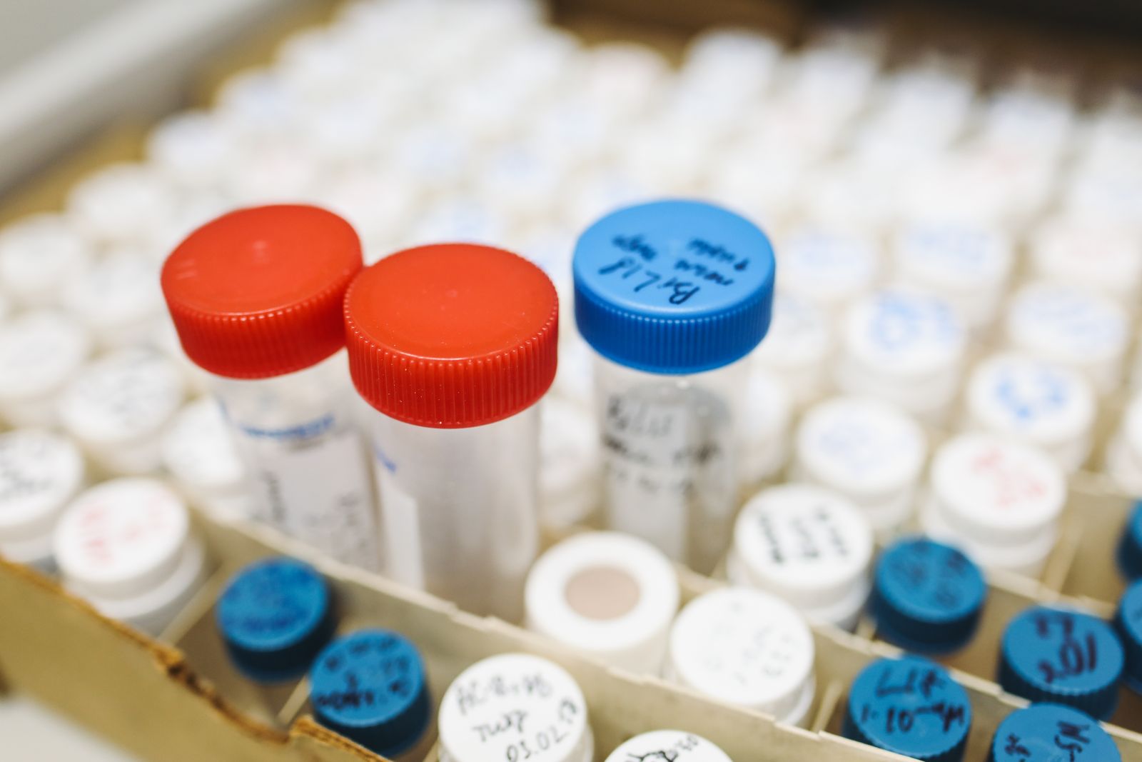 A tray of laboratory sample vials with red, blue, and white caps, each hand-labeled with batch and lot markings