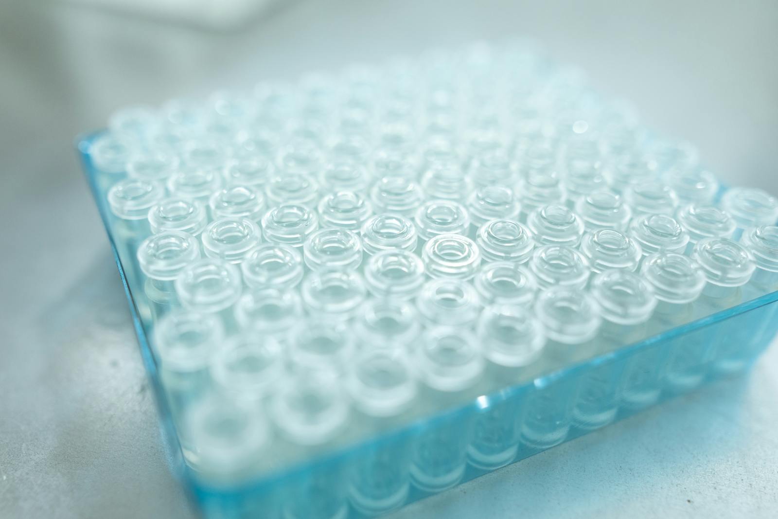 Close-up of transparent laboratory sample vials arranged in a blue tray