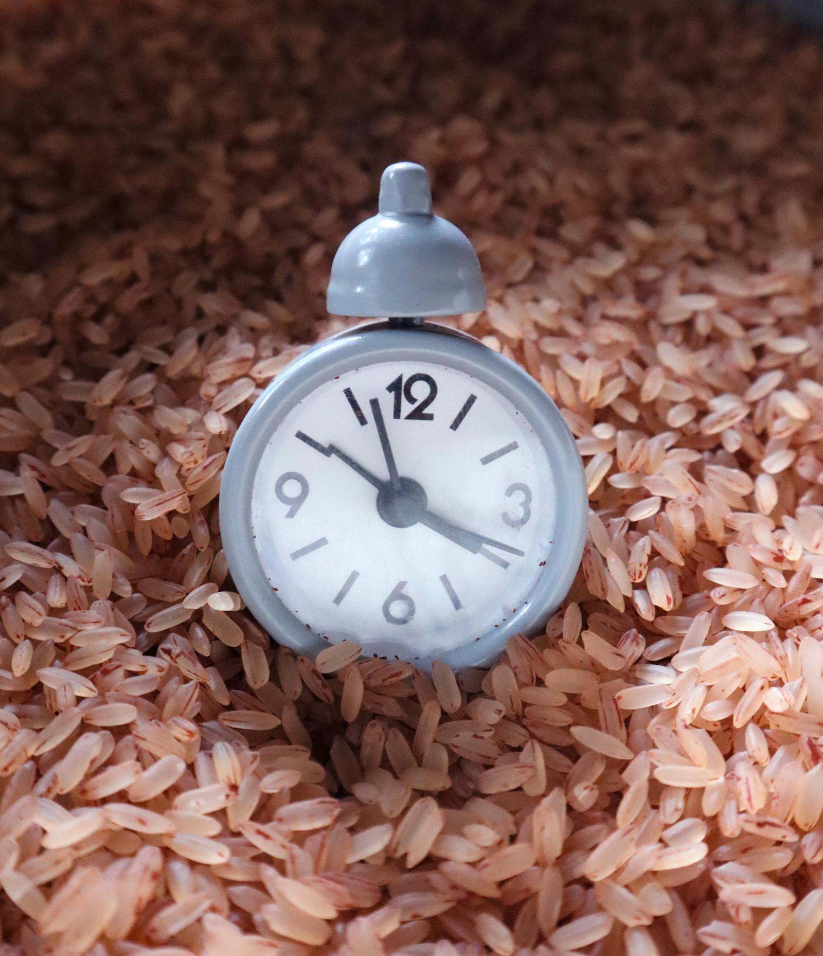 Alarm clock resting on a bed of grains, evoking timing of meals